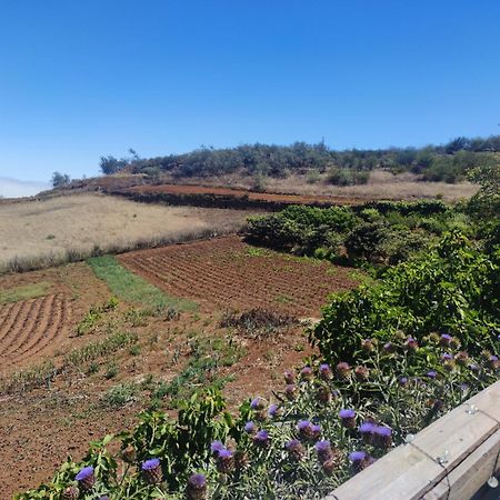 Finca El Cercadillo Gáldar Extérieur photo